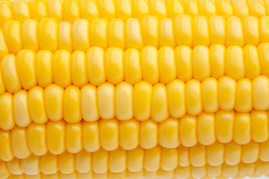Yellow fresh corn texture
