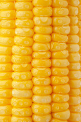 Yellow fresh corn texture