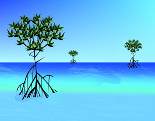Obraz premium mangrove tree