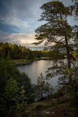 
Sweden. Evening cloudy sky over the lake. Lonely tree on a rocky shore