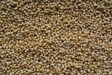 Textured background of millet