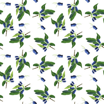 Seamless pattern of honeyberry on white background. Watercolor hand drawn illustration. Perfect for digital paper, wrapping, wallpaper, textile, fabric. Loncera edulis or honeysuckle.
