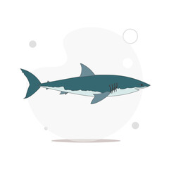 white shark isolated vector flat illustration on white