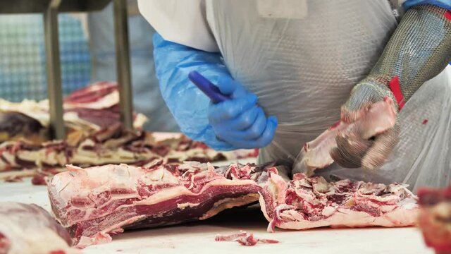 Worker using knife cutting pieces of beef meat. Deboning of beef meat