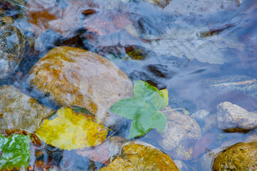Summer Scenery of Heaven Village National Geological Park in Hubei, China