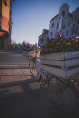 Poznan - Flower Bike