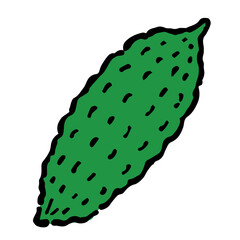 Illustration of Bitter gourd: Illustration like hand drawn illustration with ink and brush
