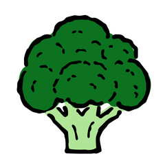 Illustration of Broccoli: Illustration like hand drawn illustration with ink and brush
