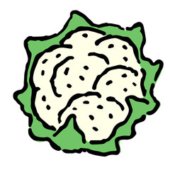 Illustration of Cauliflower: Illustration like hand drawn illustration with ink and brush