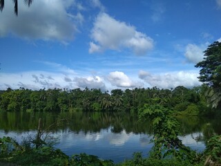 Fototapeta na wymiar Beautiful Green Tree blue sky. and River. blue clouds sky.