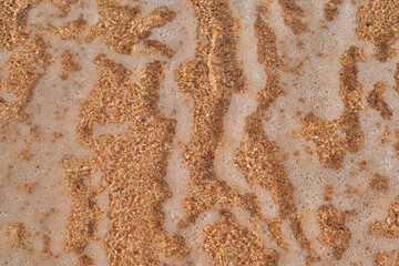 Golden sandy texture with sea foam drops from the beach of Egypt