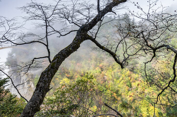 Early autumn scenery of Hubei Shennongjia National Geopark Scenic Area, China