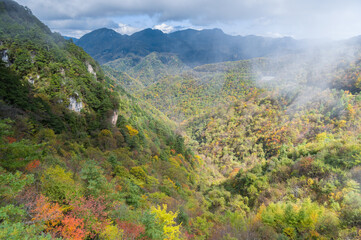 Early autumn scenery of Hubei Shennongjia National Geopark Scenic Area, China