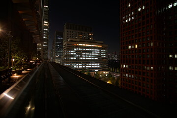 Fototapeta na wymiar Beautiful night view in the big city, Tokyo, Japan.