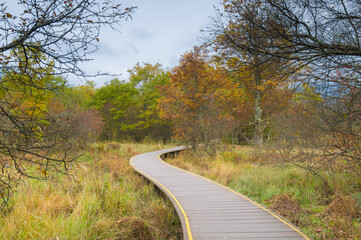 Autumn scenery of Hubei Shennongjia National Geopark Scenic Area, China