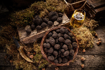 Mushroom black truffle - obrazy, fototapety, plakaty
