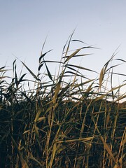 Processed with VSCO with hb1 preset