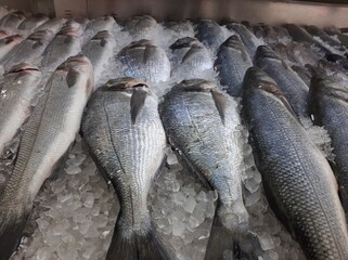 Obraz premium live fresh fish on the counter