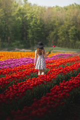Girl walking in field of tulips
