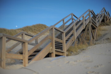 sylt