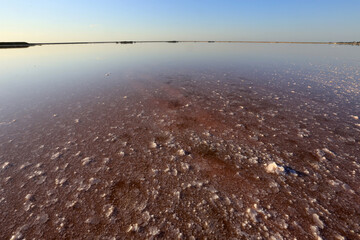 salt lake with pink water