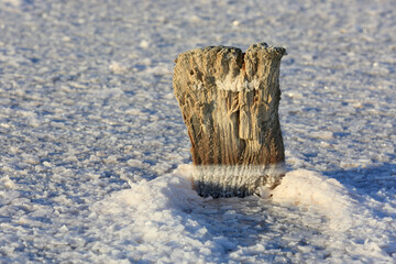 wooden pillar among salt lake surace