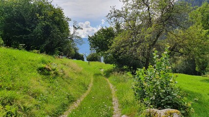 Fototapeta na wymiar Wanderweg, Wandern, Südtirol