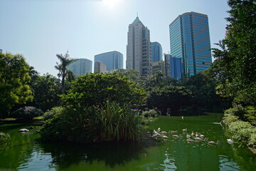 Obraz premium Modern city streets, Hong Kong