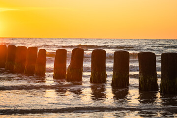 Wooden poles at the beach at golden sunset. Wave breaker pole heads in ocean water waves.
