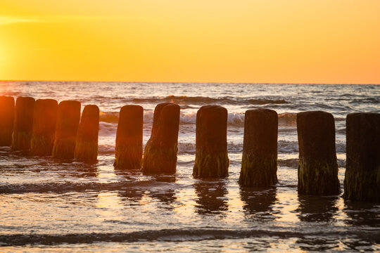 Wooden poles at the beach at golden sunset. Wave breaker pole heads in ocean water waves.