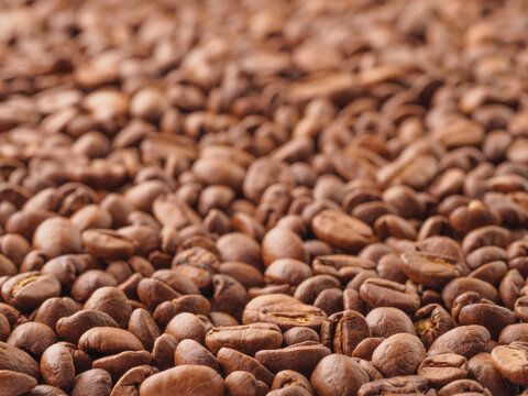 Brown roast coffee beans closeup background, selective focus, low angle