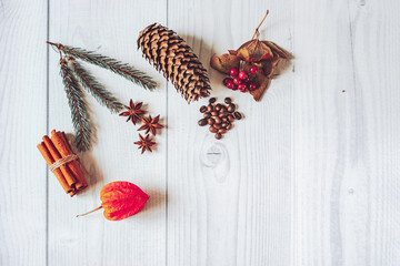 Christmas composition. Flat lay made of spruce branch, pine cone,viburnum,physalis,cinnamon sticks,star anise,coffee beans on white wooden background with copy space. Concept of winter holidays