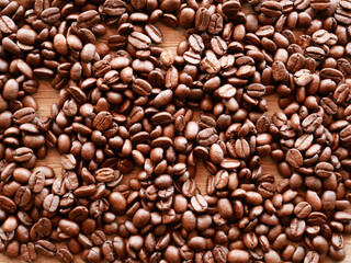 coffee bean for background, organic coffee seed
