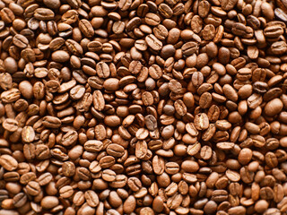 coffee bean for background, organic coffee seed