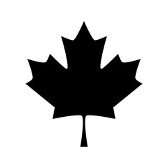 Maple leaf icon. Vector illustration isolated on white