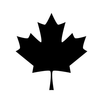 Maple leaf icon. Vector illustration isolated on white