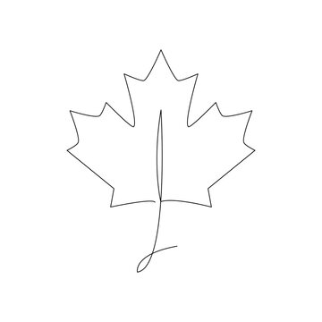 Maple leaf line art icon. One line black leaf outline vector illustration isolated on white