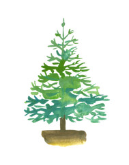 Watercolor illustration of christmas tree isolated on the white background. 