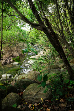 stream in the woods © Thula