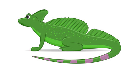 Basilisk lizard animal standing on a white background