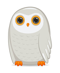 Polar owl bird on a white background