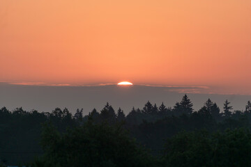 sunset on the forest
