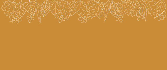 line drawing background with various leaves.