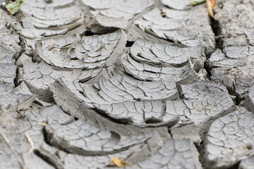 Background cracks in the ground drought ecology