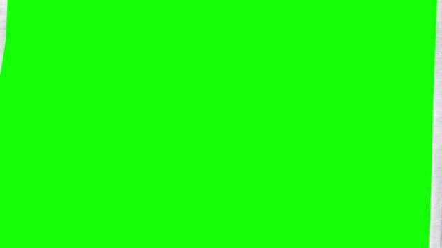 Sheer window curtains open onto a green screen background.