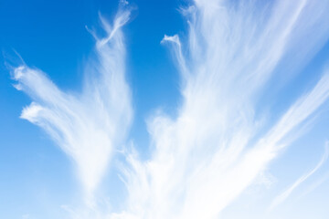 blue sky with cloud..