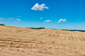 Fototapeta na wymiar Chianti hills in summer province of Siena Tuscany