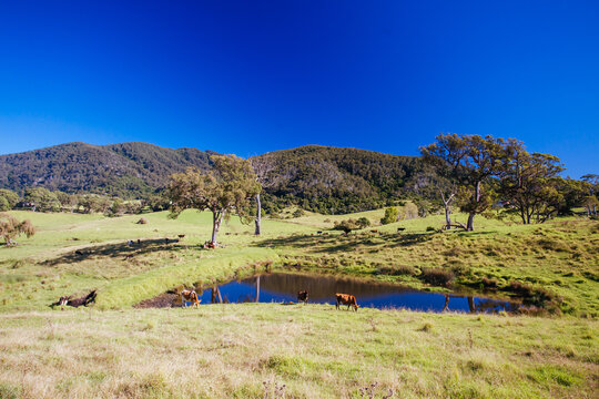 Tilba Tilba Landscape in Australia