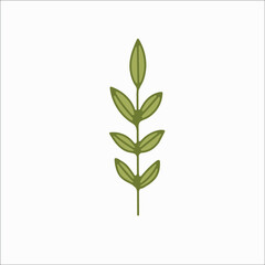 flower simple botanical illustrations, line artwork, minimal design elements. elegant and delicate plant doodles for branding, wedding invitation, graphic design. spring floral clip art , feminine art