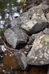 rocks in the river